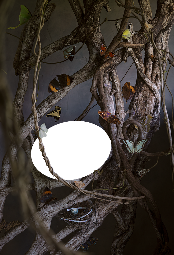 The Secretary of State... (The Butterfly Piece), Stephanie Shih, LONG TIME NO SEE, Museums at Washington and Lee Reeves Collection of Ceramics