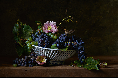 still life, grapes, hellebore, snail, asian american still life, stephanie shih