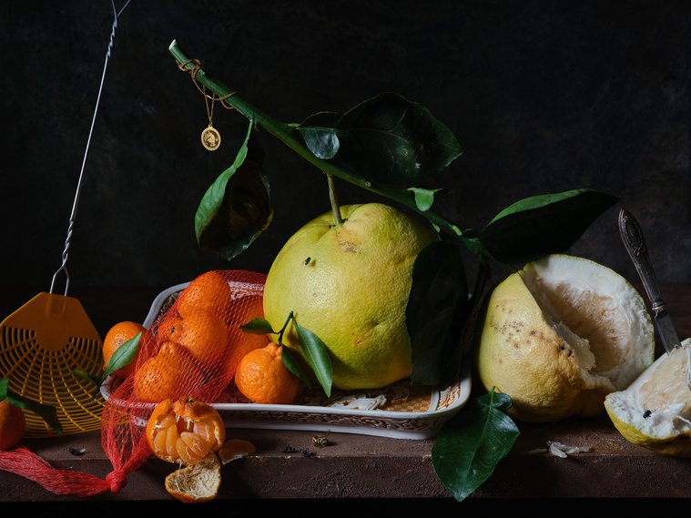 Still life of oro blanco, kishu mandarin, fly swatter, citrus, Asian American art