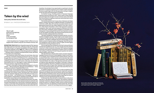 archives, Stephanie Shih for High Country News, still life, still life photography