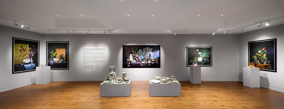 Installation of LONG TIME NO SEE, Stephanie Shih, Museums at Washington and Lee University.