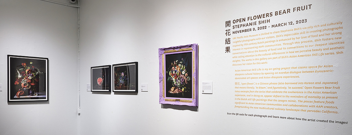 Stephanie Shih, Open Flowers Bear Fruit, Pacific Asia Museum, gallery installation