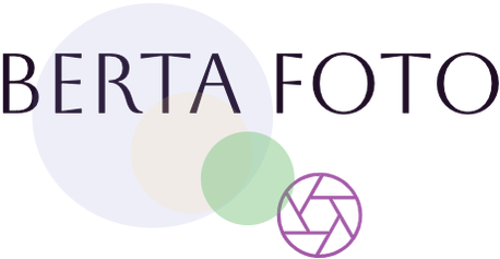 Berta Pono's Portfolio