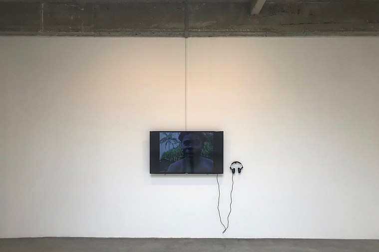 Filmmaker Anna Pollack's documentary Jamaica Tapes at Tanya Bonakdar