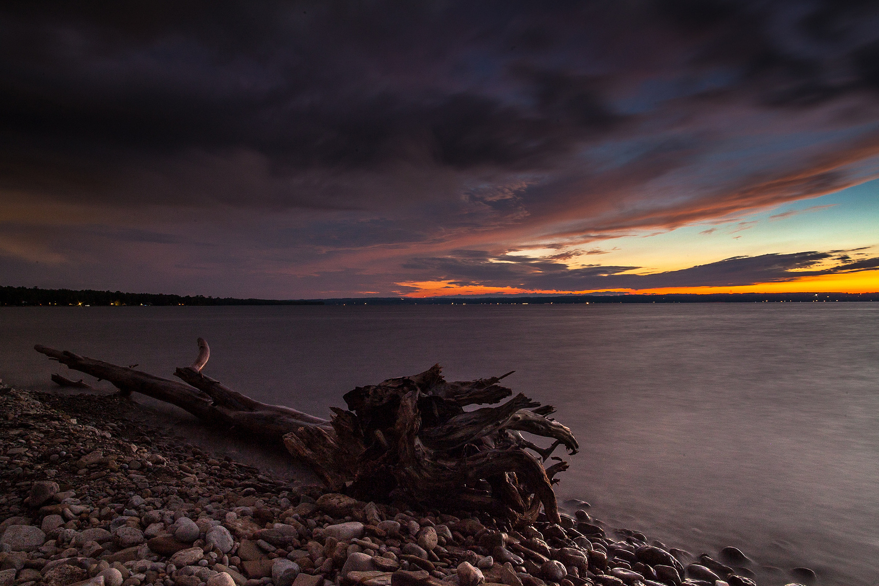 Washed up tree trunk on beach at dusk.