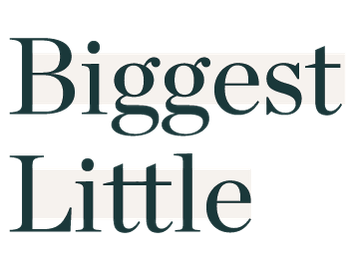 Biggest Little Design - Angie Anderson
