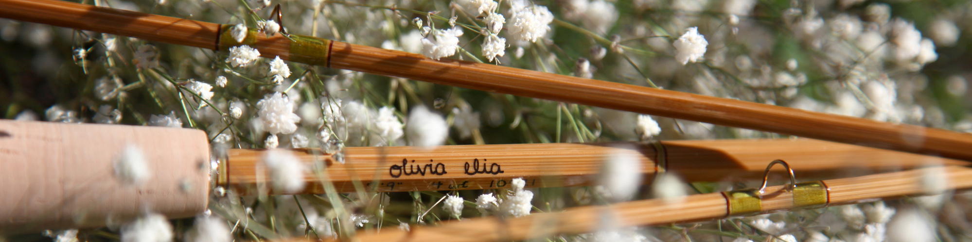 Olivia Elia Bamboo Fly Rods - Olivia Elia's Portfolio