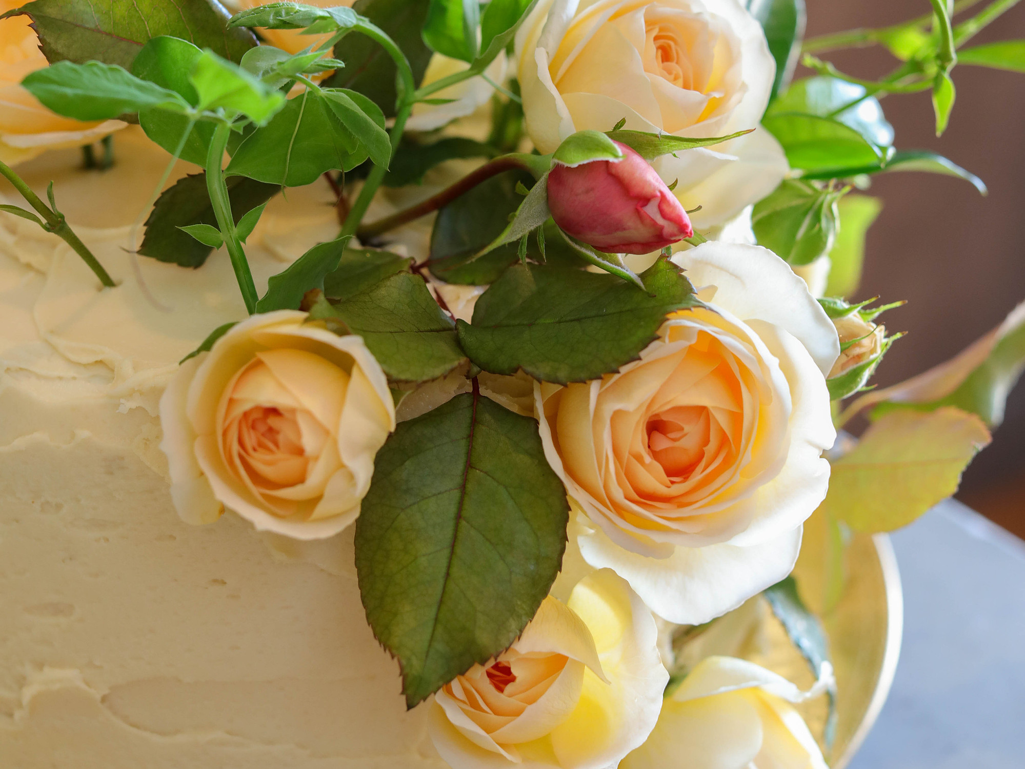 malibu bakery, best bakery in malibu, custom cakes near me, buttercream, cake jars, artisan cakes, small batch sweets, homemade treats, celebrations, cakes, bakery, bakery near me, Oprah's favorite things