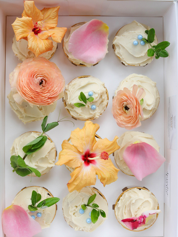 vanilla cupcakes, cupcakes in malibu, malibu cupcakes, olive oil cupcakes, cupcakes
