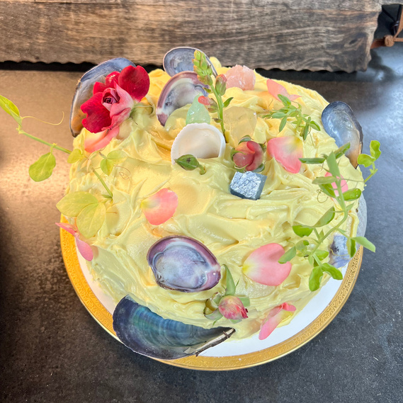 seashells, seashell cake, crystals, malibu crystals, malibu healing, crystal cake in malibu, spiritual cake malibu, hippie cake la, hippie cake malibu