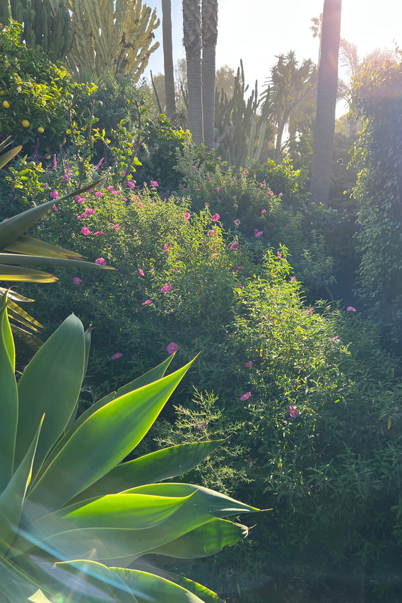 malibu garden, gardens, beautiful garden, Martha steward style, English cottage, cottage and gardens
