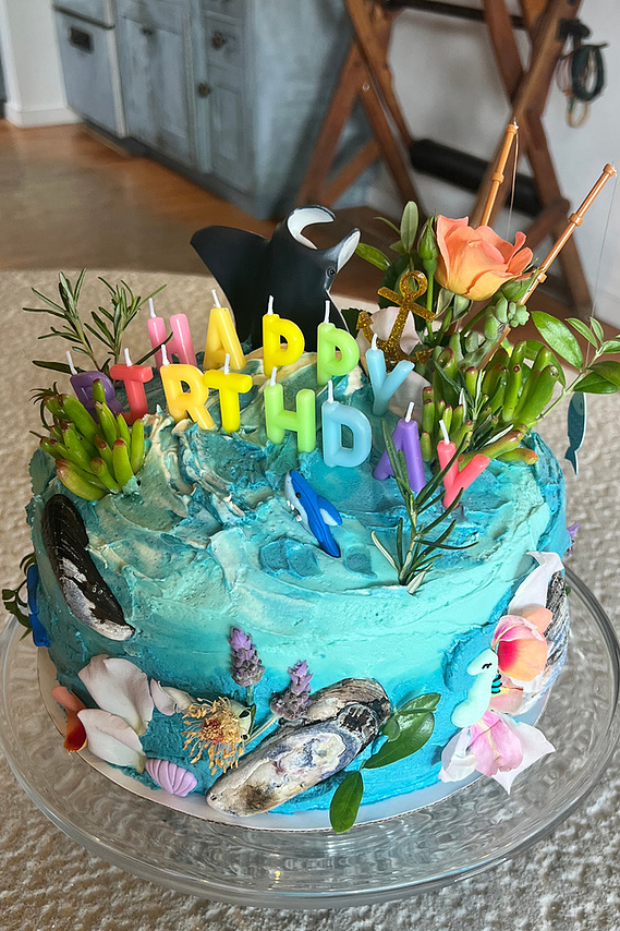 ocean themed cakes, best kids cakes, kids cakes la, kids cakes malibu