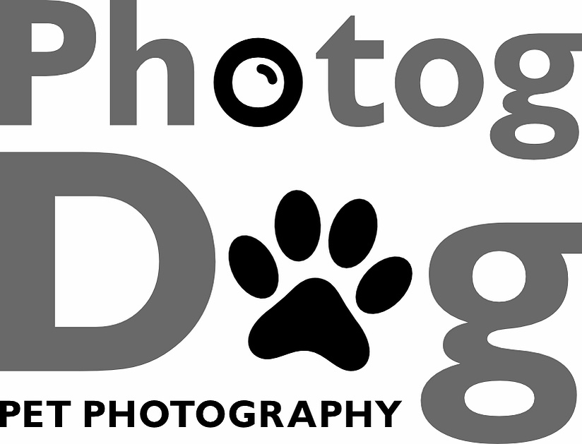 Photogdog Pet Photography