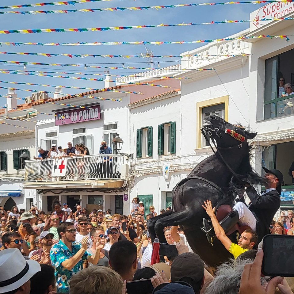 Découvrez la célèbre fête du cheval à Minorque, un événement emblématique mêlant traditions équestres et festivités locales. Admirez les majestueux chevaux noirs en plein cabré, montés par des cavaliers en costume traditionnel, dans une ambiance festive.