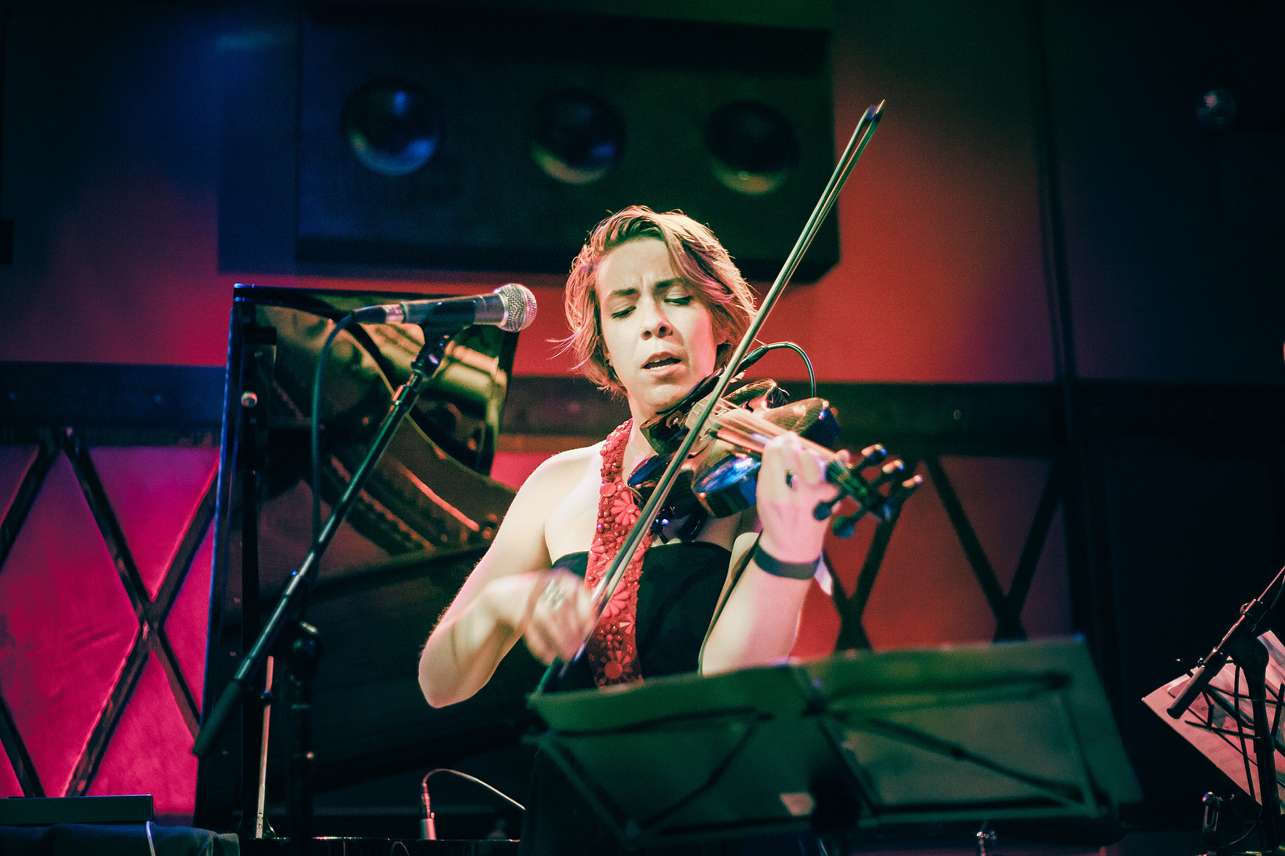 Music, live, set, Rockwood Music Hall, strings, Sun Nectar, Brian Trahan