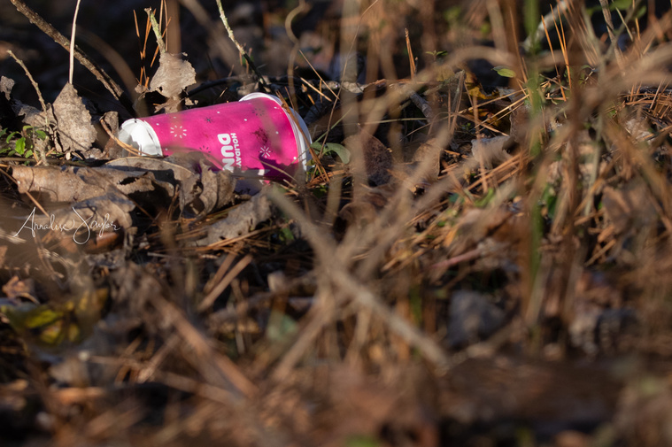 A hot pink Dunkin Donuts cup littered in the forest