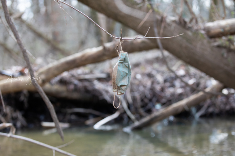A blue and white surgical mask dangles on a branch over a creek in the woods as litter.