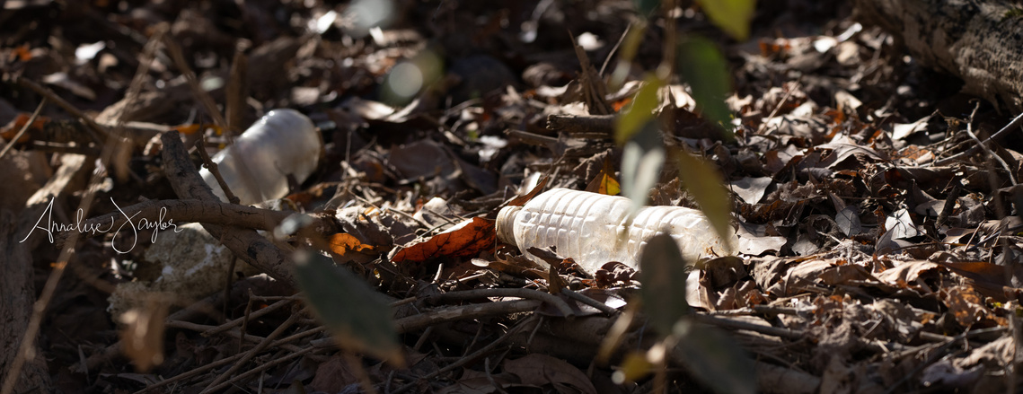 Plastic water bottle litter on the forest floor.