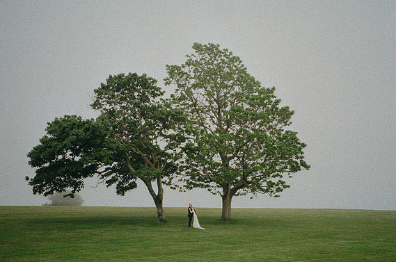 Bride and groom standing beneath a quiet tree on a foggy day, captured from a distance with soft, atmospheric light creating a romantic and timeless mood — photographed by a CT-based wedding photographer.