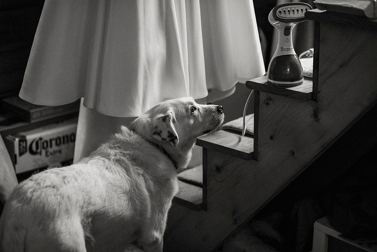 Bride spending a quiet moment with her dog on her wedding day, captured by a Connecticut wedding photographer.