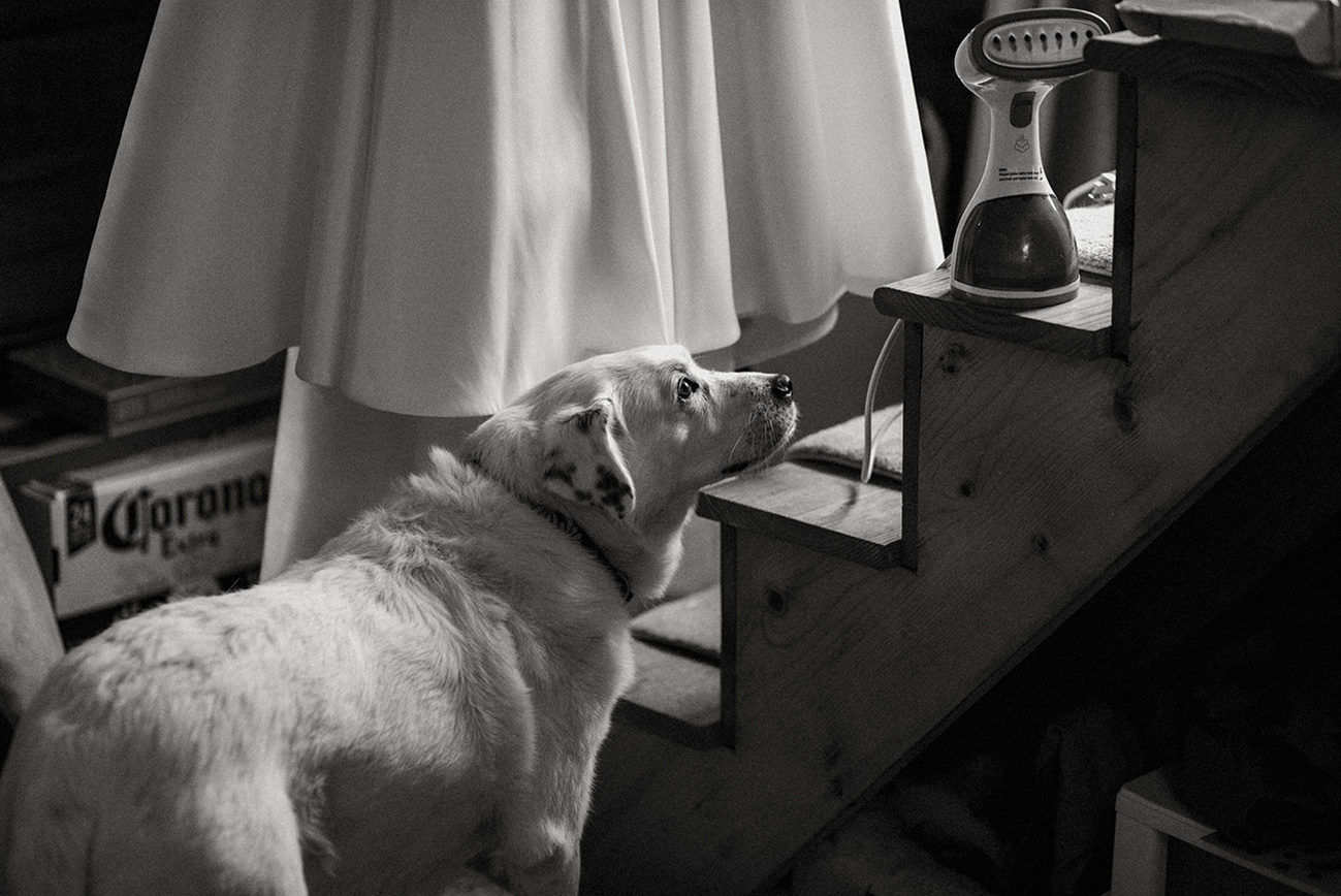 Bride spending a quiet moment with her dog on her wedding day, captured by a Connecticut wedding photographer.