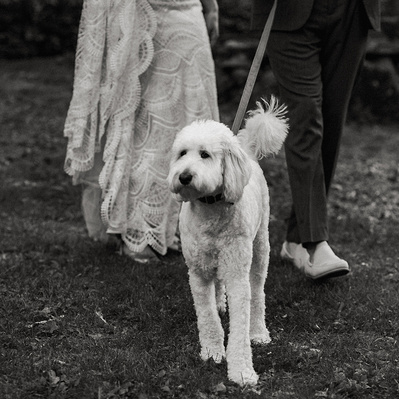 Connecticut and Western Massachusetts,
Wedding Photographer