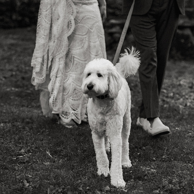 Connecticut and Western Massachusetts,
Wedding Photographer