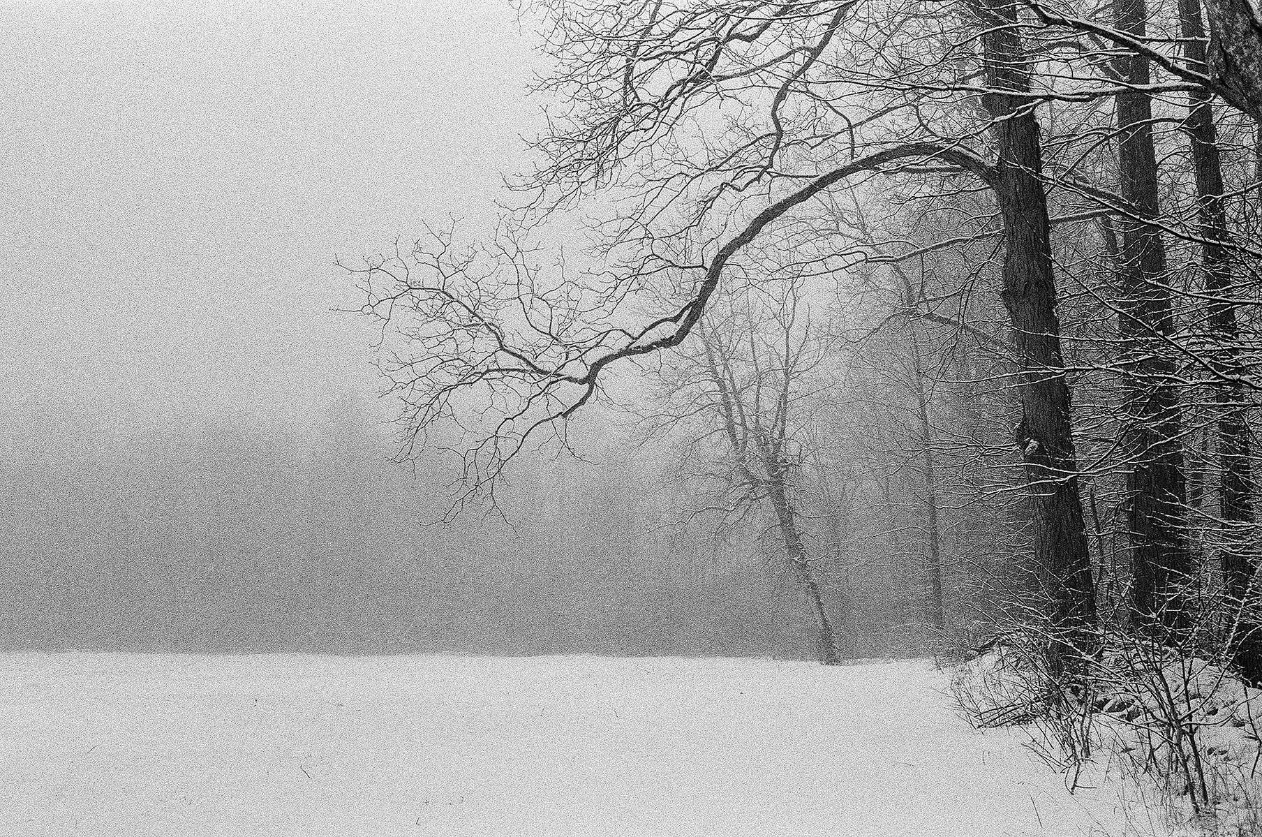 Yashica ELECTRO 35 GX // Ilford HP5 Plus Black + White Film