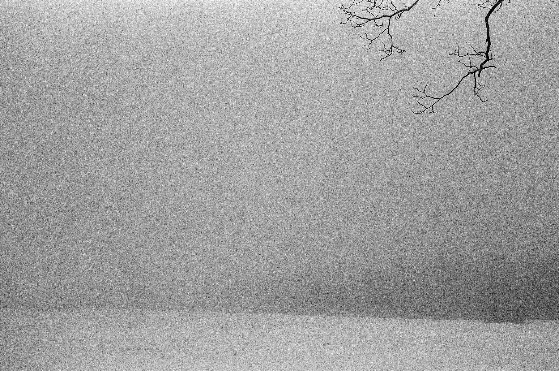 Yashica ELECTRO 35 GX // Ilford HP5 Plus Black + White Film