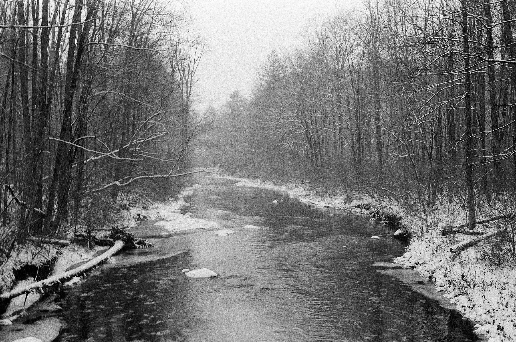Yashica ELECTRO 35 GX // Ilford HP5 Plus Black + White Film