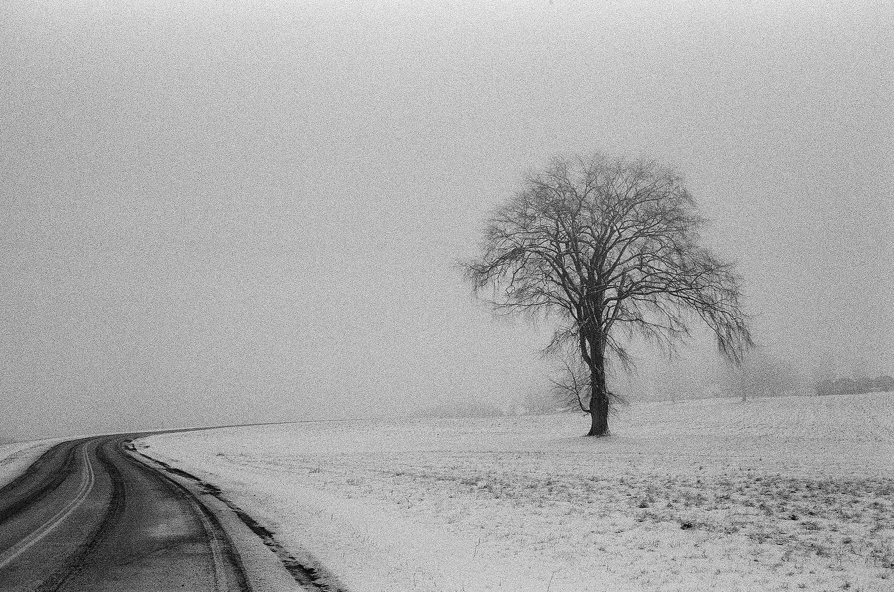 Yashica ELECTRO 35 GX // Ilford HP5 Plus Black + White Film