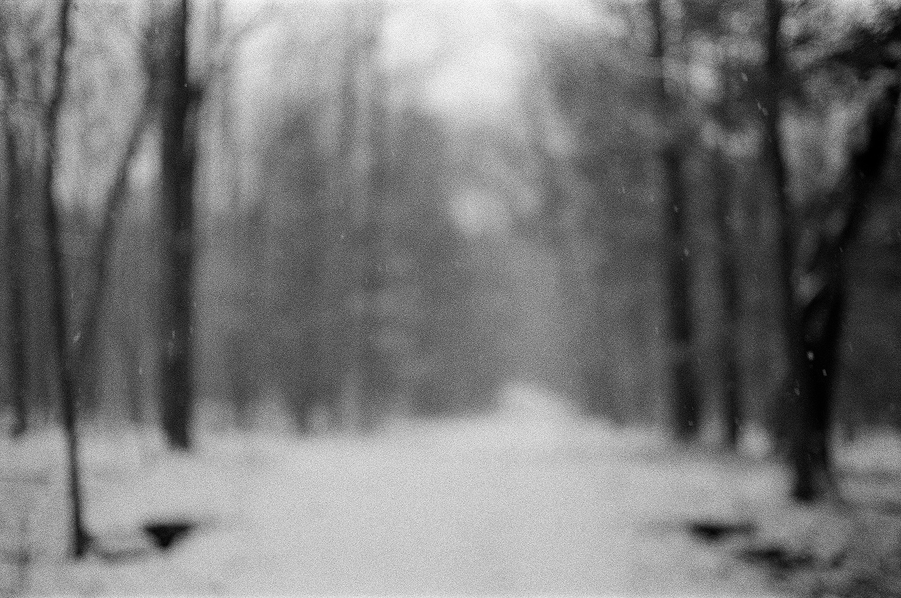 Yashica ELECTRO 35 GX // Ilford HP5 Plus Black + White Film