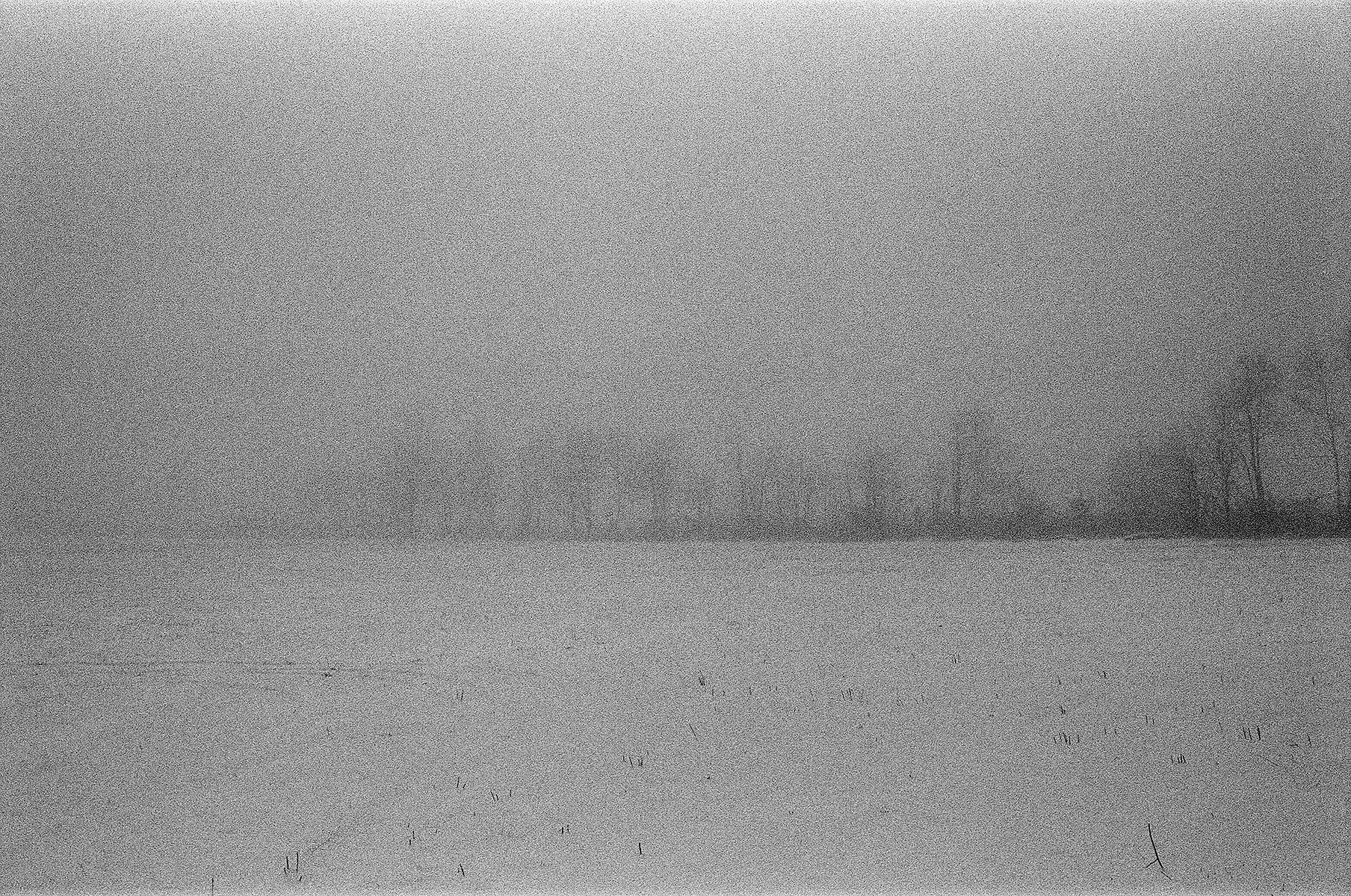 Yashica ELECTRO 35 GX // Ilford HP5 Plus Black + White Film