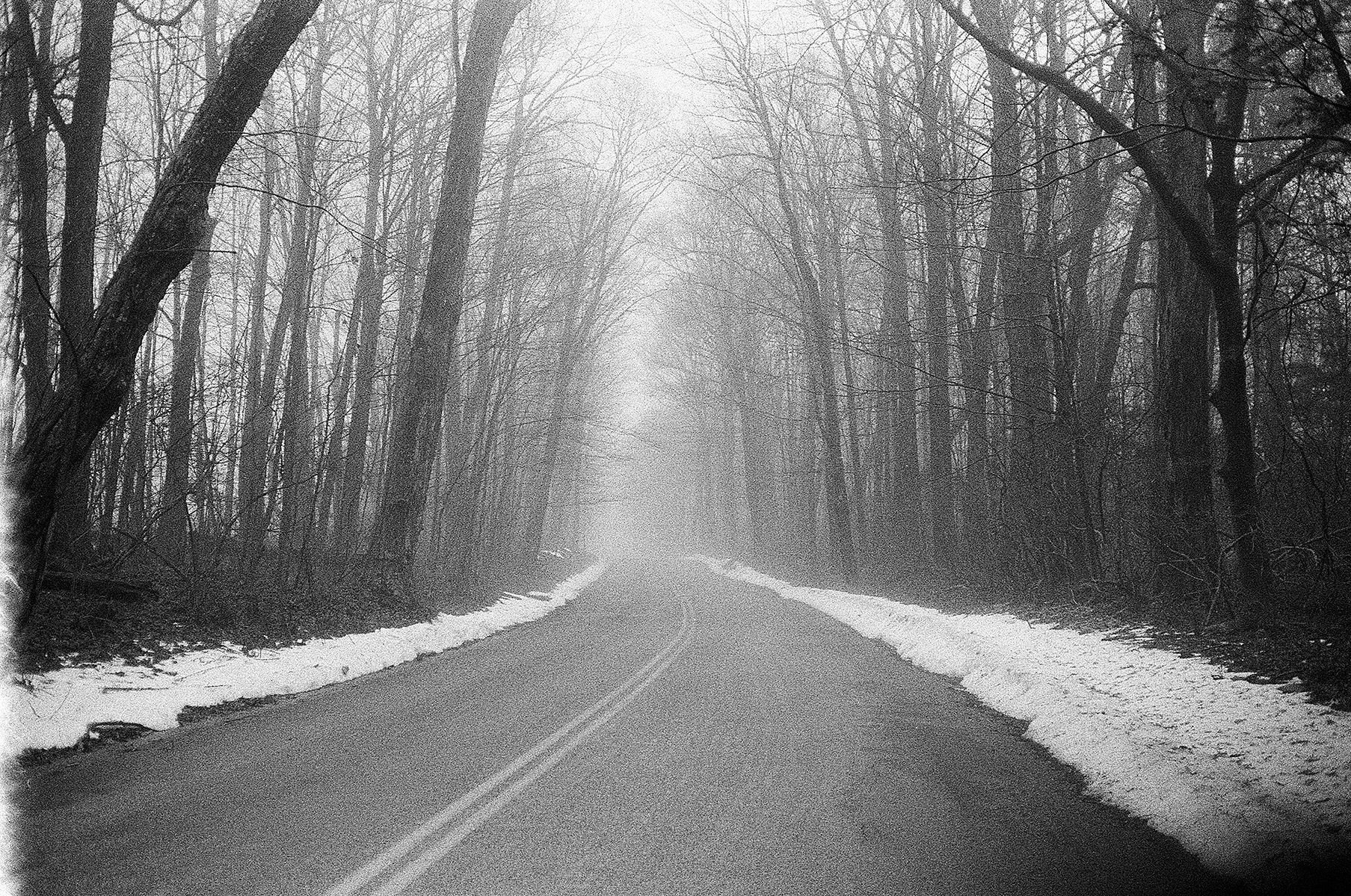 Yashica ELECTRO 35 GX // Ilford HP5 Plus Black + White Film