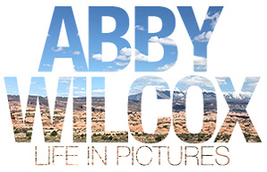 Abby Wilcox 