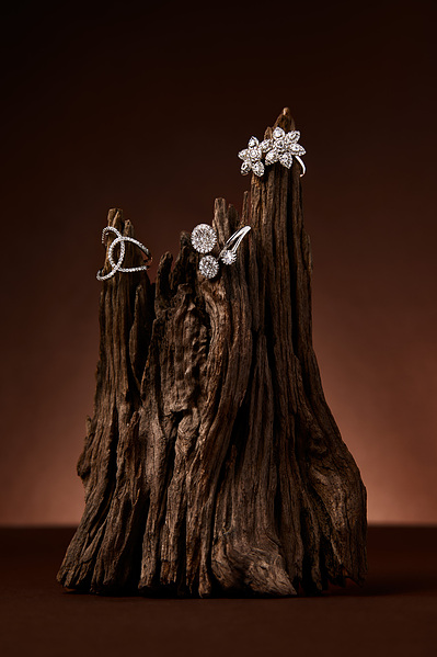 Silver diamond rings sitting on top of driftwood in a studio jewellery shoot. Photographed by commercial photographer Karan Gill based in melbourne.
