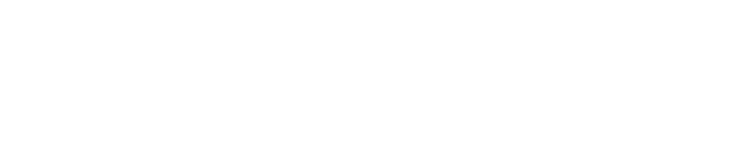 MJF Photography 