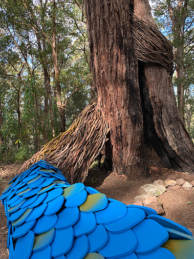 australian art, australian large scale art installation, Sunshine Coast sculpture, Sunshine Coast artist, Queensland artist, Queensland sculpture, art in nature, ephemeral art Sunshine Coast, portal art, nature art Queensland, 