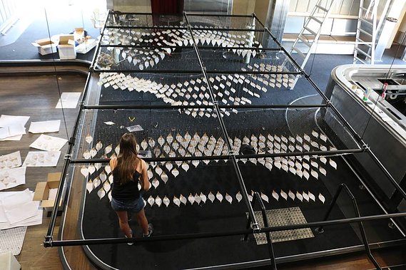  Art installation, Australian installation Artist, Perth art installation, sydney installation artist, glowing ceiling installation, art sculpture, suspended sculpture, suspended installation, wave installation, artist Melissa carey