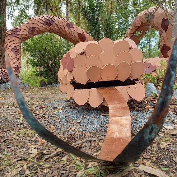 Snake Sculpture, Gold coast sculpture, Queensland sculpture, Sydney art installation, festival art, Australian installation artist, installation art Gold coast, Festival art australia, Burning Man art Australia, Burn art Australia, snake art