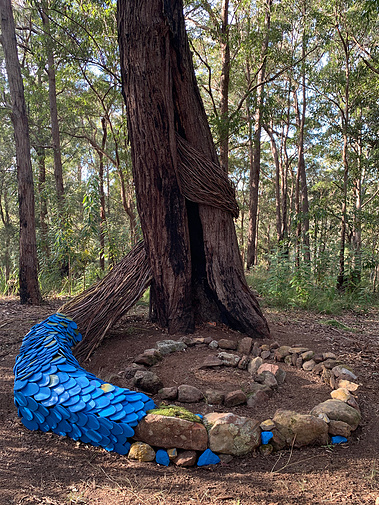 australian art, australian large scale art installation, Sunshine Coast sculpture, Sunshine Coast artist, Queensland artist, Queensland sculpture, art in nature, ephemeral art Sunshine Coast, portal art, nature art Queensland, 