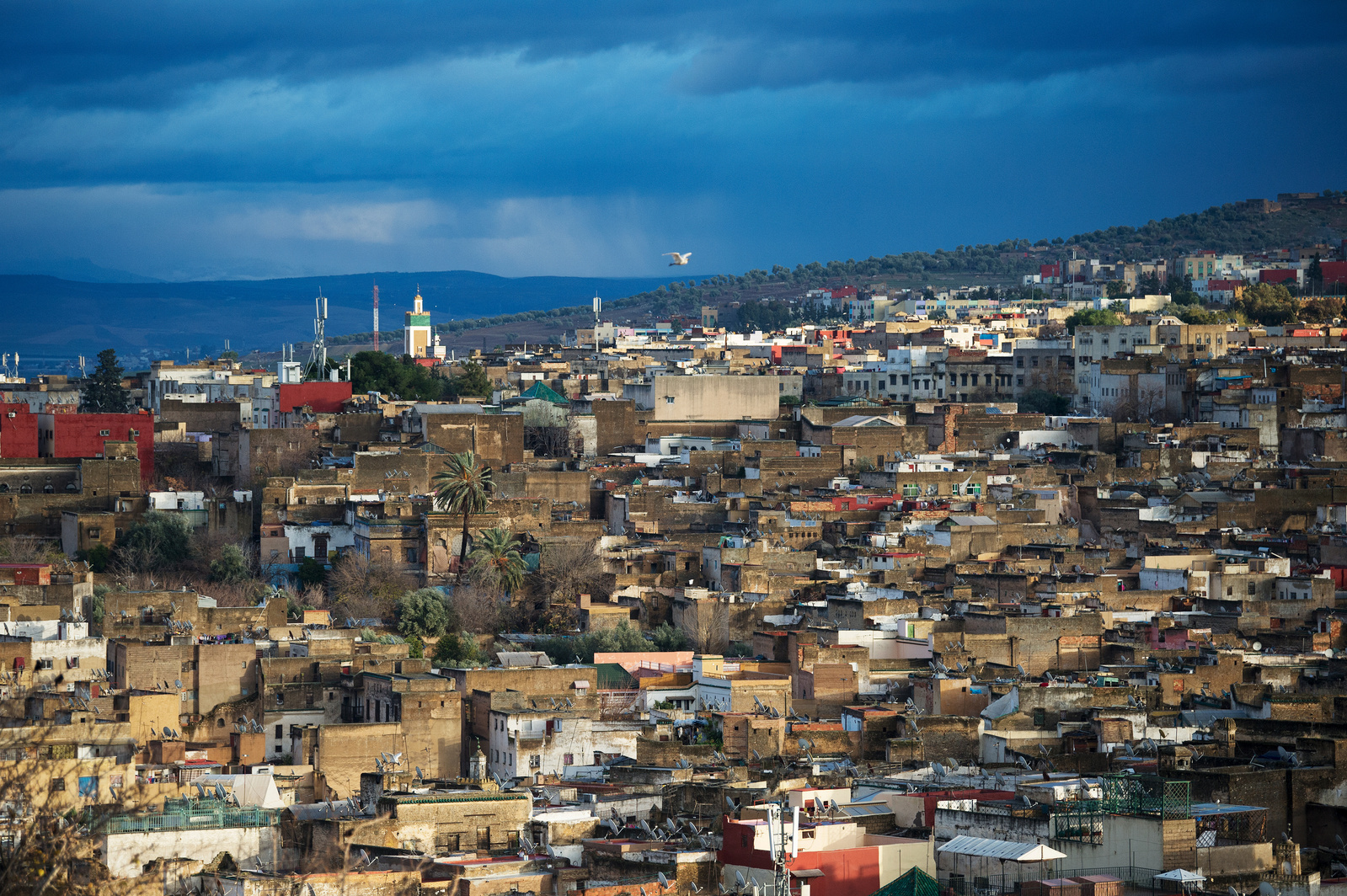 A rooftop view over the city of Fes in Morocco.