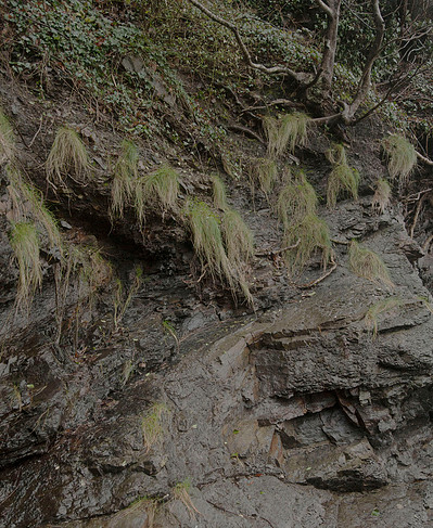 Images from my personal photography project A swim into the wild shot around Wales, UK.