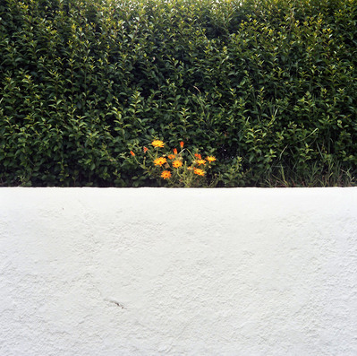 Images from my personal photography project Still here still conscious shot around Wales, UK.