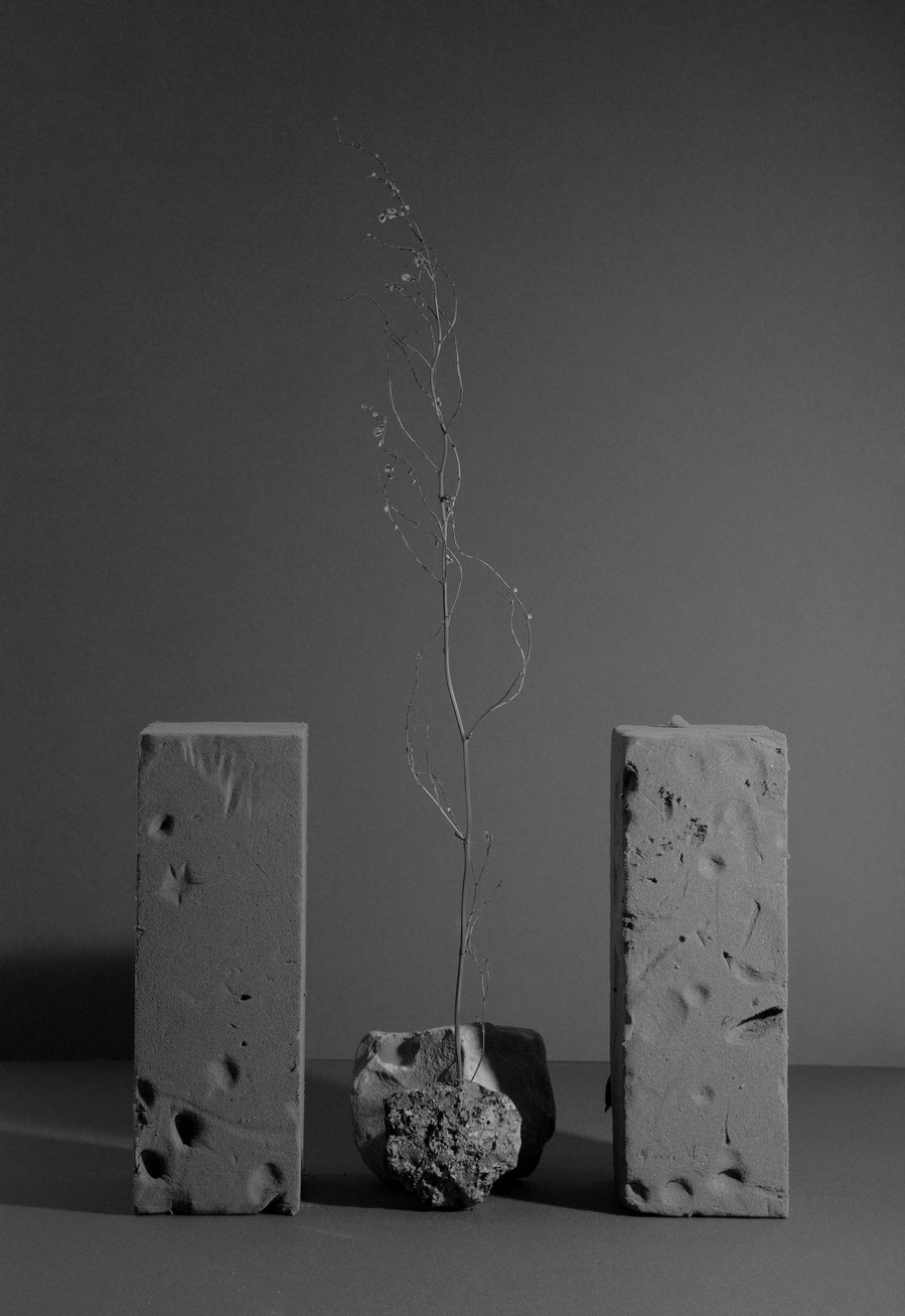 Images from my personal photography project The recreation of an unconscious reoccurrence which includes still life and environmental photography shot around Wales, UK.