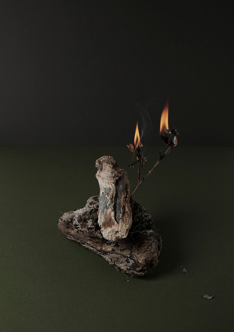 Images from my personal photography project The recreation of an unconscious reoccurrence which includes still life and environmental photography shot around Wales, UK.