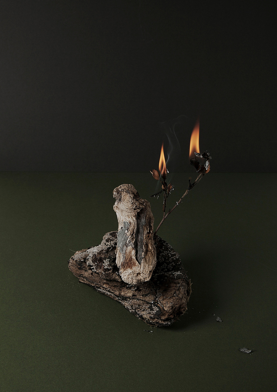 Images from my personal photography project The recreation of an unconscious reoccurrence which includes still life and environmental photography shot around Wales, UK.