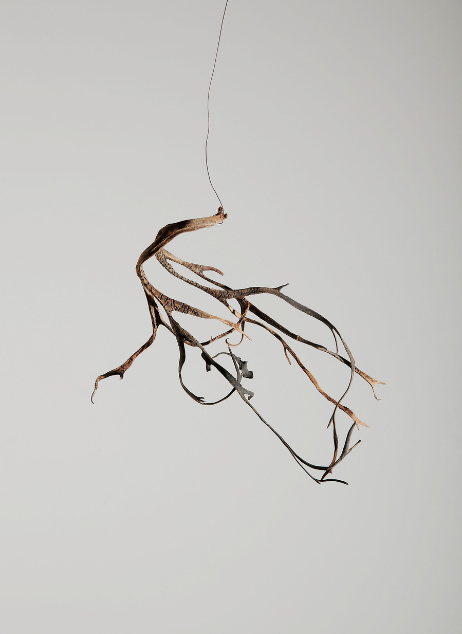 Images from my personal photography project The recreation of an unconscious reoccurrence which includes still life and environmental photography shot around Wales, UK.