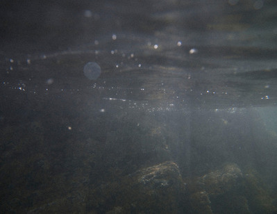 Images from my personal photography project A swim into the wild shot around Wales, UK.