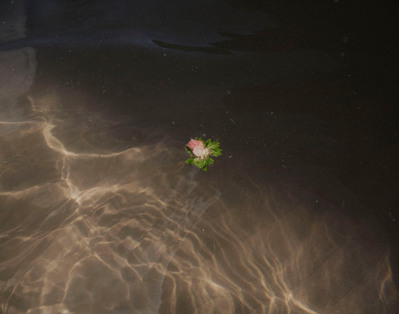 Images from my personal photography project A swim into the wild shot around Wales, UK.